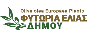ΦΥΤΩΡΙΟ ΕΛΙΑΣ ΟΠΩΡΟΦΟΡΑ ΚΑΡΠΟΦΟΡΑ ΦΥΤΩΡΙΑ ΔΗΜΟΥ ΜΟΝΟΒΡΥΣΗ ΣΕΡΡΕΣ ΔΗΜΟΥ ΔΗΜΗΤΡΙΟΣ