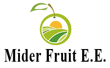 ΧΟΝΔΡΙΚΟ ΕΜΠΟΡΙΟ ΦΡΟΥΤΩΝ ΛΑΧΑΝΙΚΩΝ MIDER FRUIT ΕΕ ΜΠΟΛΑΤΙ ΑΡΓΟΛΙΚΟ ΑΡΓΟΛΙΔΑ ΔΕΡΝΙΚΟΣ ΜΙΧΑΛΗΣ