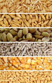 ΕΜΠΟΡΙΟ ΖΩΟΤΡΟΦΩΝ ΠΤΗΝΟΤΡΟΦΕΣ ΙΧΘΥΟΤΡΟΦΕΣ ΑΜΑΛΙΑΔΑ ΗΛΕΙΑ ΝΤΟΥΣΑΣ ΓΕΩΡΓΙΟΣ